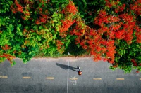 Các đơn vị lữ hành cho biết xu hướng nghỉ lễ 30/4 du khách ưu tiên các điểm đến gần. (Ảnh minh họa: Vương Nam/Vietnam+)