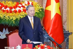 Tổng Bí thư, Chủ tịch nước Tô Lâm phát biểu tại buổi gặp mặt. (Ảnh: Thống Nhất/TTXVN)