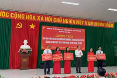 Ông Trần Lưu Quang - Bí thư Thành ủy Thành phố Hồ Chí Minh trao bảng biểu trưng tặng phòng học số cho 5 trường học tại đặc khu Côn Đảo. (Ảnh: PV/Vietnam+)