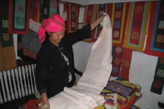 Những hoa văn đủ sắc màu trên thổ cẩm của người Mông. (Ảnh: T.H/Vietnam+)