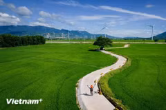 Du lịch Việt Nam có nhiều dư địa phát triển mới hậu sáp nhập các tỉnh, thành phố. (Ảnh minh họa: Vương Công Nam/Vietnam+)