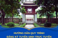 (Ảnh chụp màn hình)