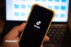 (Ảnh: Vietnam+)