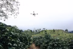 Quả cà phê được đóng gói cẩn thận trước khi được vận chuyển từ vườn xuống điểm tập kết, thu mua tại xã Mường Ảng, tỉnh Điện Biên. (Ảnh: VietnamPost)