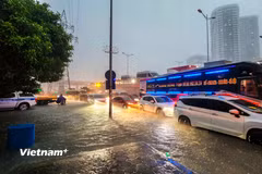 Nhiều khu vực có mưa dông, cục bộ có nơi mưa to đến rất to. (Ảnh minh họa: Hoài Nam/Vietnam+)