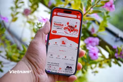 Tammi đạt 20 triệu người dùng sau 3 tháng ra mắt. (Ảnh: Minh Sơn/Vietnam+)