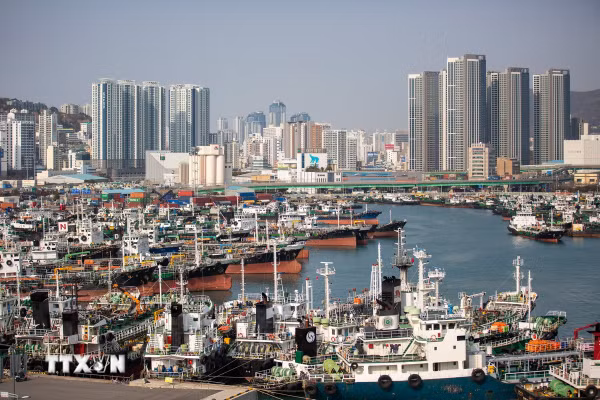IMF cảnh báo cú sốc năng lượng và rủi ro AI đe dọa kinh tế châu Á