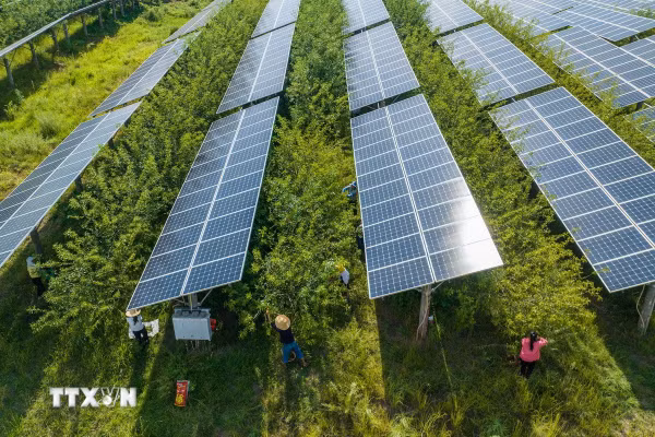 Hội nghị COP31 thúc đẩy trí tuệ nhân tạo có trách nhiệm với khí hậu