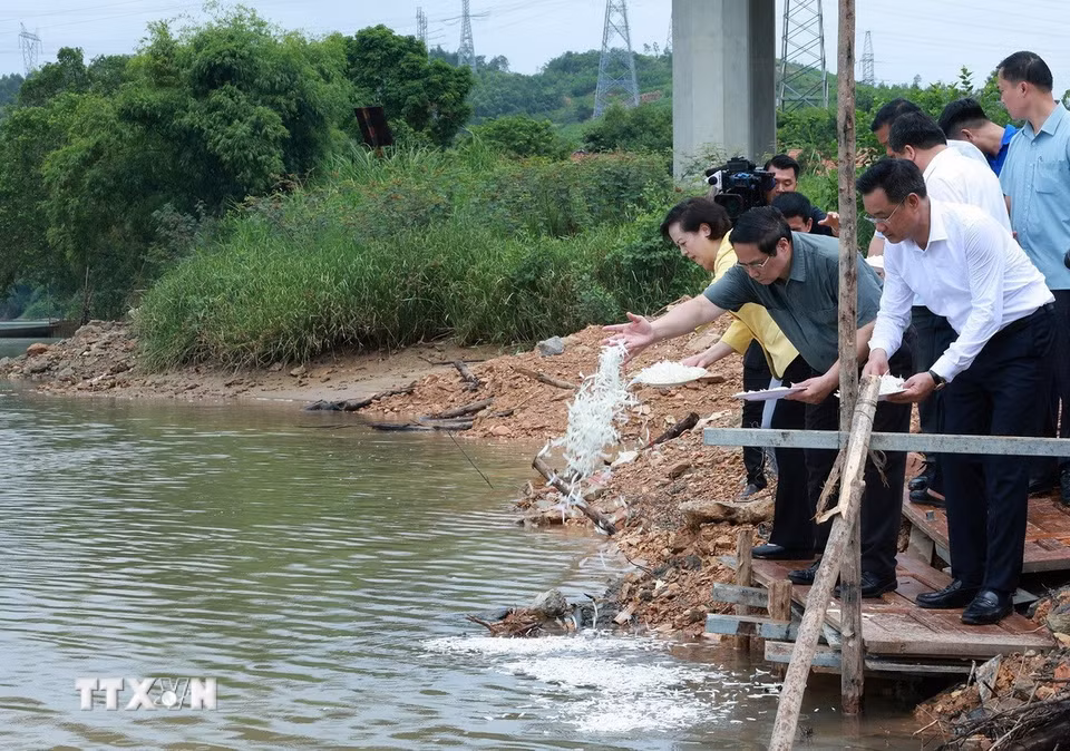 Thủ tướng Phạm Minh Chính thả hoa xuống dòng sông Long Đại, nơi 16 thanh niên xung phong hy sinh năm 1972. (Ảnh: Dương Giang/TTXVN)