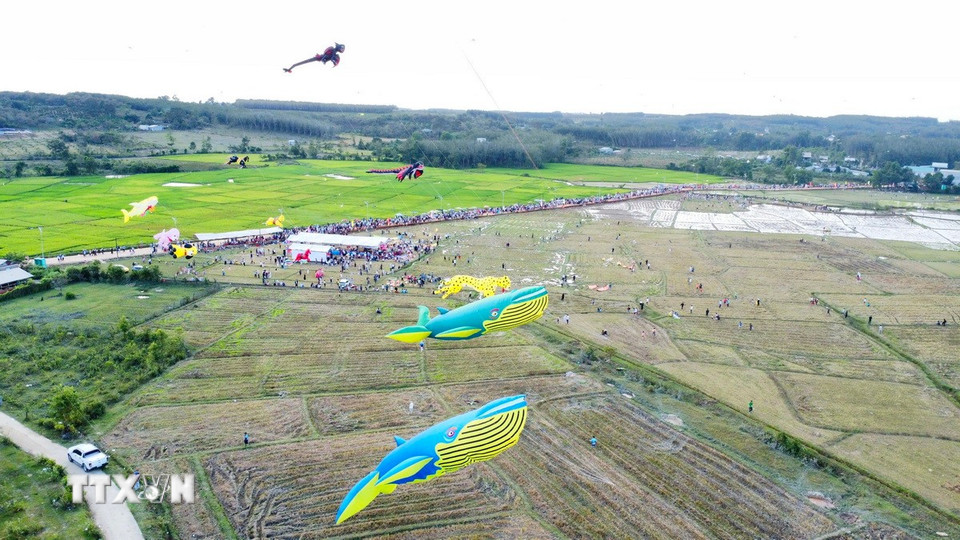 Lễ hội thu hút 20 đội diều sáo nghệ thuật đến từ các câu lạc bộ trong và ngoài tỉnh Đồng Nai. (Ảnh: Nhật Bình/TTXVN)