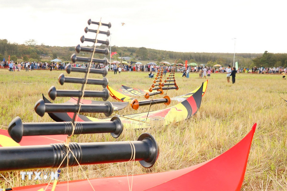 Lễ hội thu hút 20 đội diều sáo nghệ thuật đến từ các câu lạc bộ trong và ngoài tỉnh Đồng Nai. (Ảnh: Nhật Bình/TTXVN)