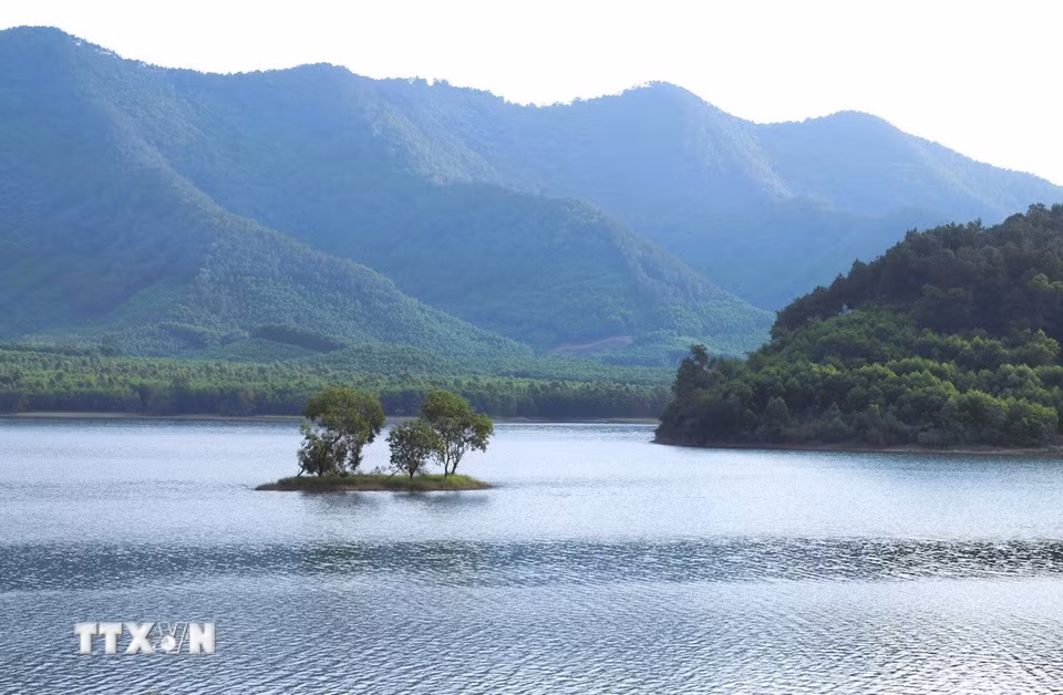 Giữa lòng hồ Xuân Dương có nhiều đảo “khóm cây mồ côi” nằm giữa mênh mông nước tạo nên những tiểu cảnh đẹp. (Ảnh: Xuân Tiến/TTXVN)