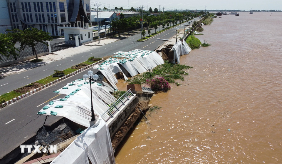 Kè Thường Thới Tiền (đoạn đối diện Nhà máy chế biến trái cây Nova Thabico) thuộc xã Thường Phước (Đồng Tháp) bị sạt lở nghiêm trọng xuống sông Tiền. (Ảnh: Nhựt An/TTXVN)