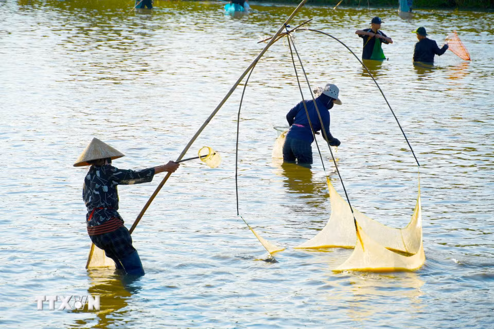 Không gian lễ hội mang đậm dấu ấn văn hóa làng quê tại Đầm Vực, xã Nghi Xuân. (Ảnh: Hữu Quyết/TTXVN)