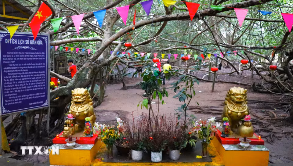 Tháng 4/2013, Ủy ban nhân dân thành phố Cần Thơ xếp hạng Giàn Gừa là Di tích lịch sử cấp thành phố. (Ảnh: Nguyễn Hằng/TTXVN)