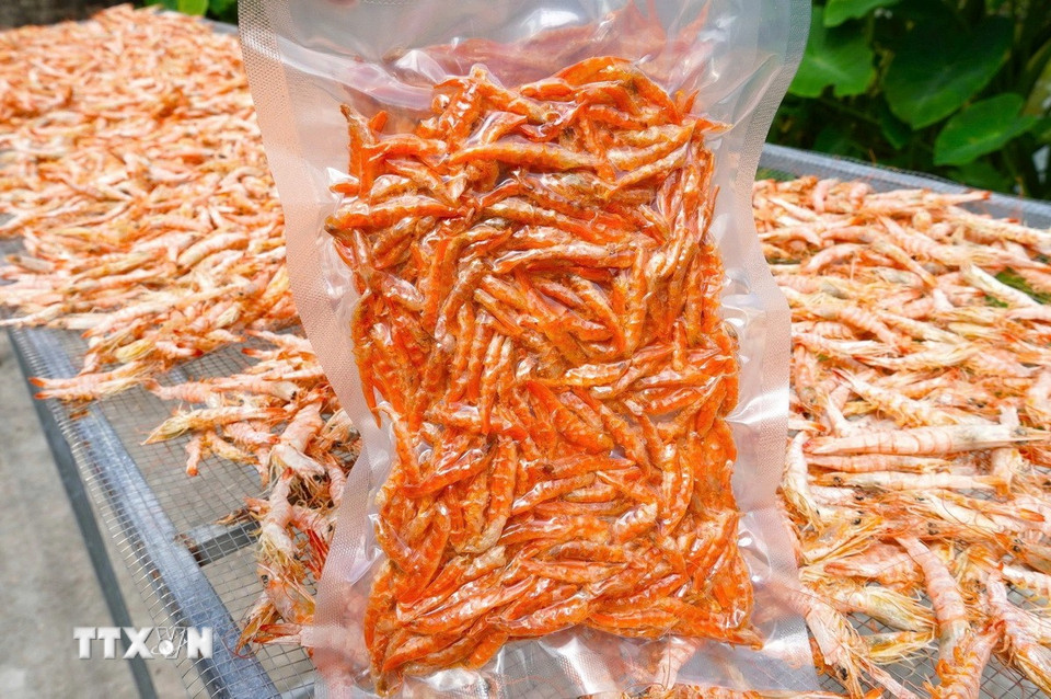 Tôm khô, hương vị Tết đặc trưng không thể thiếu của vùng Đất Mũi Cà Mau. (Ảnh: Huỳnh Anh/TTXVN)