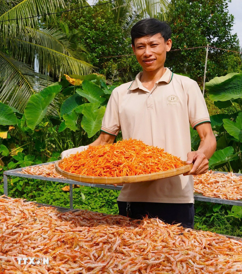 Anh Lê Tuấn Kiệt, ngụ tại xã Tạ An Khương, người đã nghiên cứu và đưa ra thị trường sản phẩm tôm khô "móng chim" độc đáo. (Ảnh: Huỳnh Anh/TTXVN)