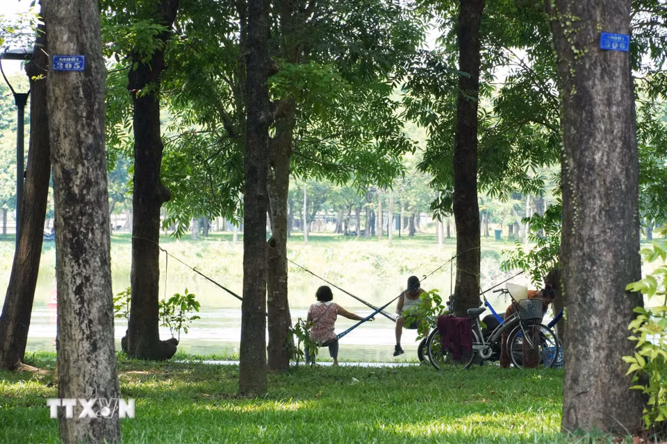 Người dân đến công viên ở bờ Bắc sông Hương, phường Phú Xuân, thành phố Huế, để hóng mát, tránh nắng nóng gay gắt. (Ảnh: Nguyên Lý/TTXVN)