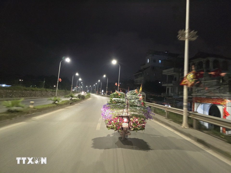 Những xe hoa hướng về chợ Quảng An phục vụ người dân trong dịp Tết. (Ảnh: Nguyễn Cúc/TTXVN)