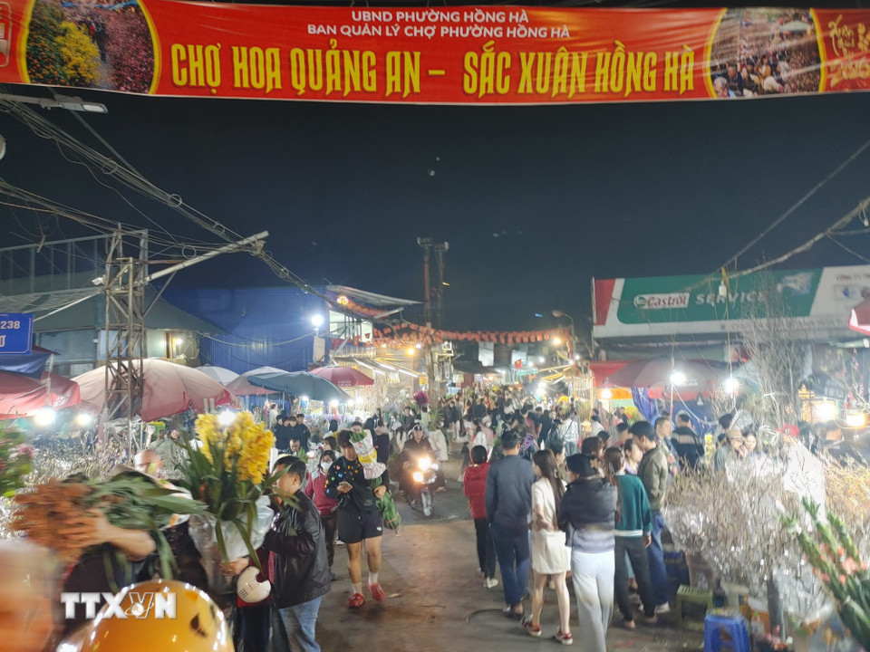 Chợ hoa Quảng An đông đúc những ngày giáp Tết. (Ảnh: Nguyễn Cúc/TTXVN)