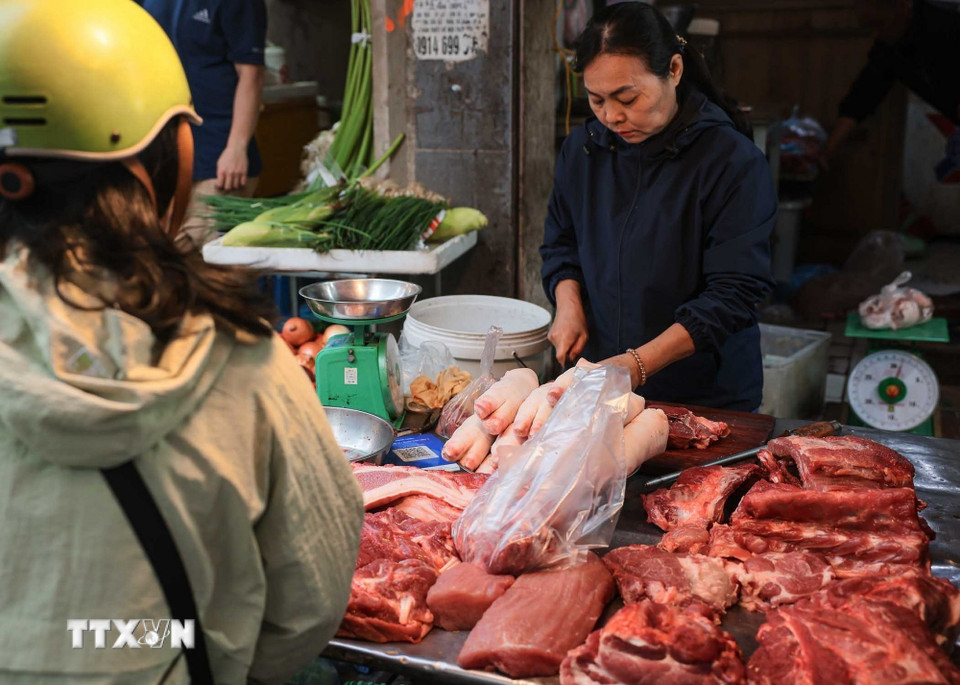 Người dân chọn mua thực phẩm sống trong phiên chợ cuối năm Ất Tỵ. (Ảnh: Hoàng Hiếu/TTXVN)
