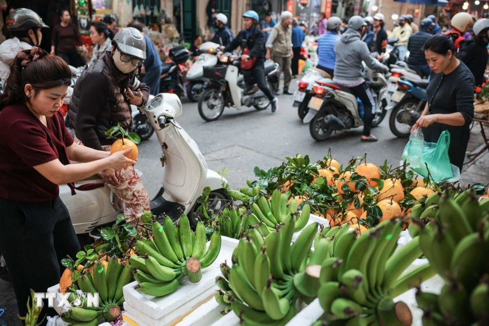 Những nải chuối xanh, đẹp, đều quả cùng những quả bưởi còn nguyên cuống lá để dâng lên bàn thờ gia tiên được chọn mua. (Ảnh: Hoàng Hiếu/TTXVN)