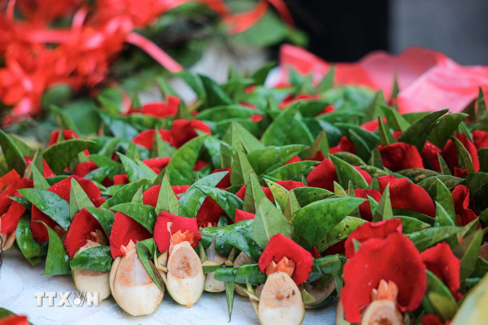 Trầu cau là lễ vật quen thuộc, không thể thiếu trong mâm cỗ ngày Tết của mỗi gia đình Việt. (Ảnh: Hoàng Hiếu/TTXVN)