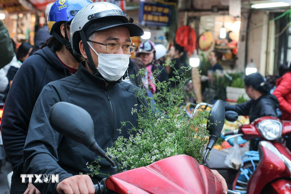Mua mùi già trong phiên chợ cuối năm là một phong tục truyền thống được nhiều gia đình gìn giữ mỗi dịp Tết đến xuân về. (Ảnh: Hoàng Hiếu/TTXVN)