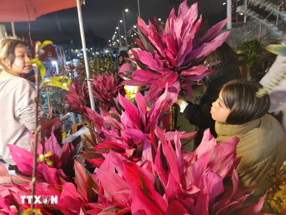 Đi chợ hoa Tết là nét văn hóa, nghi thức đón Xuân của người dân Thủ đô. (Ảnh: Nguyễn Cúc/TTXVN)