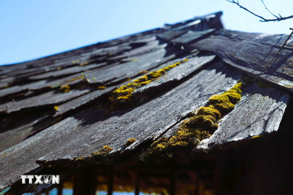 Mái nhà cổ lợp bằng gỗ samu ở bản Huồi Măn. (Ảnh: Xuân Tiến/TTXVN)