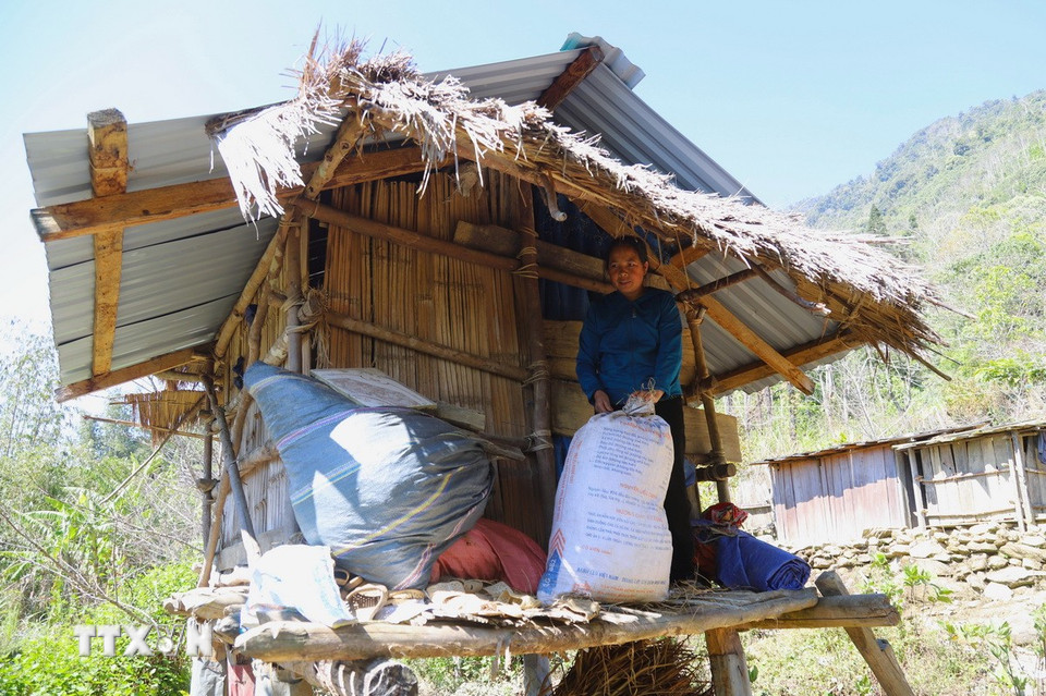 Phụ nữ người Mông bản Huồi Măn (xã Nhôn Mai, tỉnh Nghệ An) bảo quản nông sản trên công trình “lẩu khầu” (kho cất giữ lương thực) của gia đình. (Ảnh: Xuân Tiến/TTXVN)
