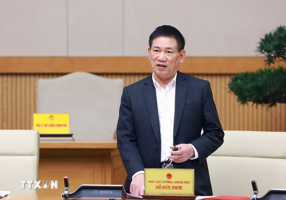 Phó Thủ tướng Hồ Đức Phớc phát biểu. (Ảnh: Dương Giang/TTXVN)