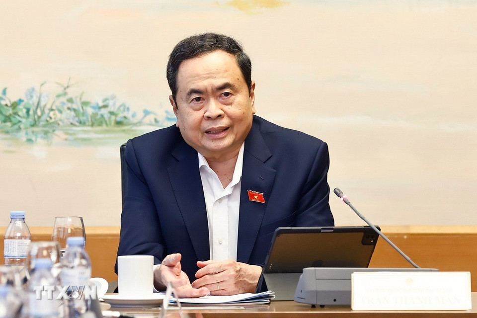 Chủ tịch Quốc hội Trần Thanh Mẫn, Đại biểu Quốc hội tỉnh Hậu Giang phát biểu. (Ảnh: Doãn Tấn/TTXVN)