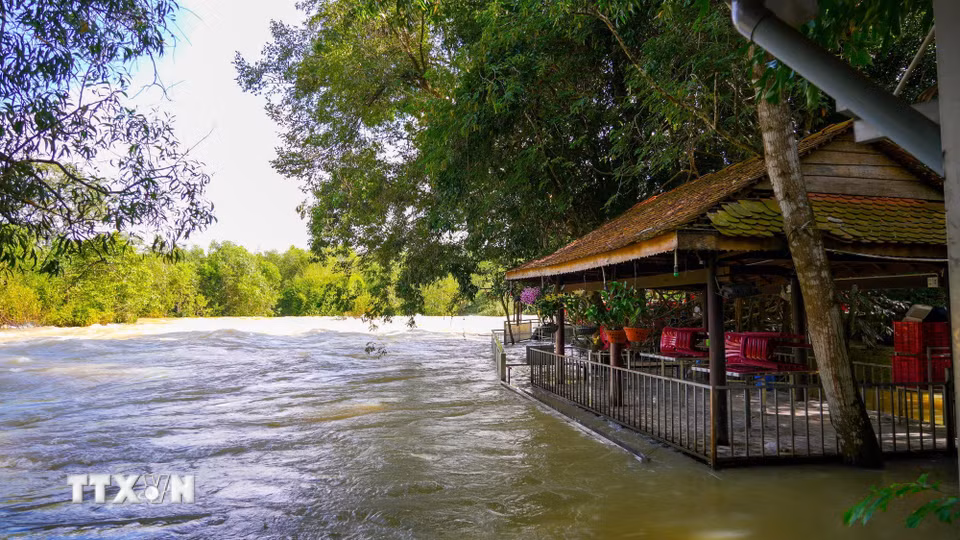 Quán ăn có dấu hiệu lấn chiếm hành lang thoát lũ hồ Dầu Tiếng tại ấp Sơn Đài, xã Dầu Tiếng, Thành phố Hồ Chí Minh. (Ảnh: Minh Phú/TTXVN)