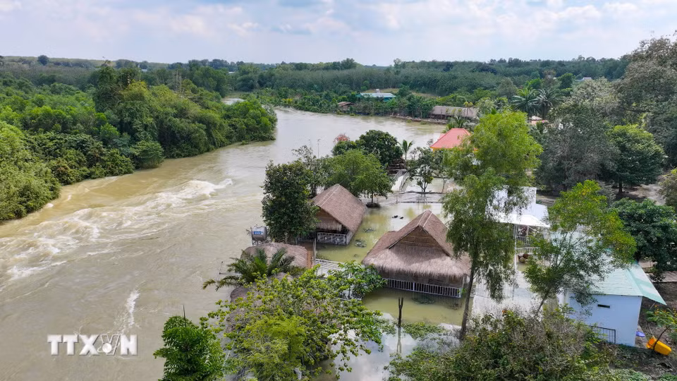 Một số công trình kinh doanh ven suối, địa bàn ấp Sơn Đài, xã Dầu Tiếng, Thành phố Hồ Chí Minh thường xuyên ngập sâu khi hồ Dầu Tiếng điều tiết nước trong mùa mưa lũ. (Ảnh: Minh Phú/TTXVN)