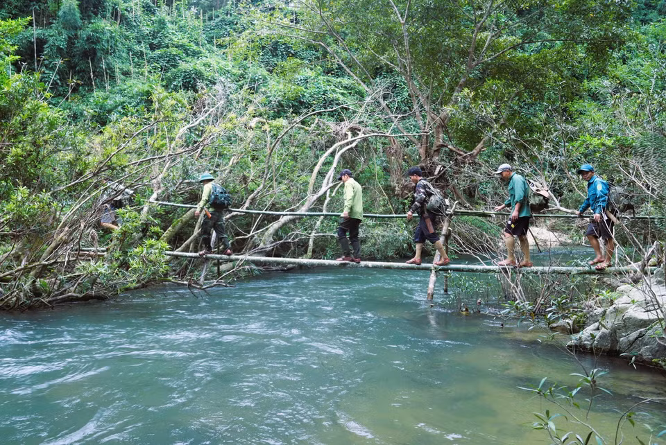Đoàn tuần tra, bảo vệ rừng di chuyển trên cầu khỉ chênh vênh bắc qua dòng Khe Cố có dòng chảy mạnh, màu nước xanh biếc. (Ảnh: Xuân Tiến/TTXVN)