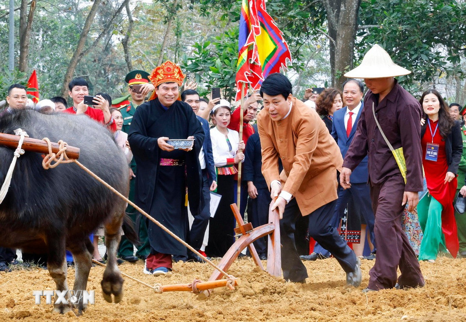 Chủ tịch nước Lương Cường thực hiện nghi thức mở xá cày đầu tiên trong Lễ xuống đồng của dân tộc Mường. (Ảnh: Lâm Khánh/TTXVN)