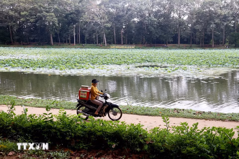 Con đường nhỏ chạy quanh Ao Bà Om cũng là lối đi cho người dân địa phương. (Ảnh: Hồng Đạt/TTXVN)