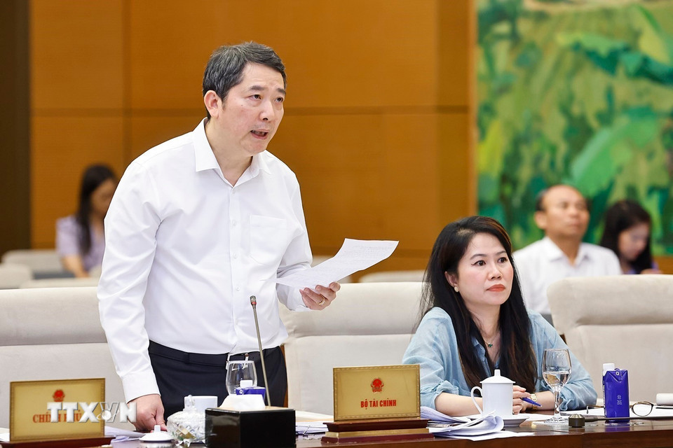 Thứ trưởng Bộ Tài chính Cao Anh Tuấn phát biểu. (Ảnh: Doãn Tấn/TTXVN)