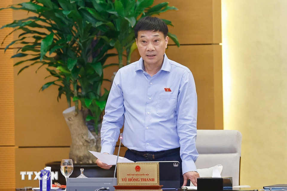 Phó Chủ tịch Quốc hội Vũ Hồng Thanh phát biểu. (Ảnh: Doãn Tấn/TTXVN)