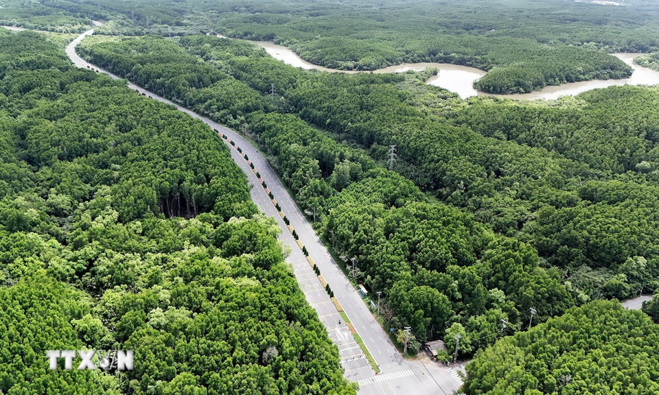 Cung đường xuyên qua khu rừng ngập mặn. (Ảnh: Hồng Đạt/TTXVN)