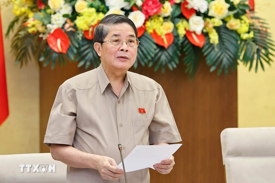 Phó Chủ tịch Quốc hội Nguyễn Đức Hải phát biểu. (Ảnh: Doãn Tấn/TTXVN)