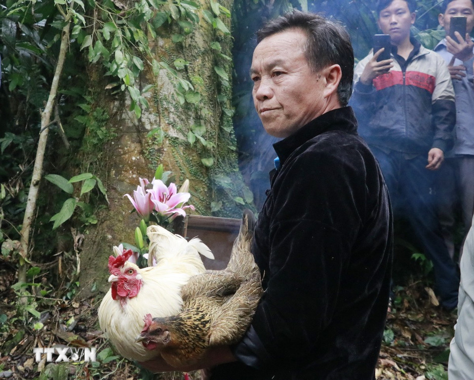 Lễ vật cúng thần rừng gồm một đôi gà trống và mái. (Ảnh: Đinh Thùy/TTXVN)