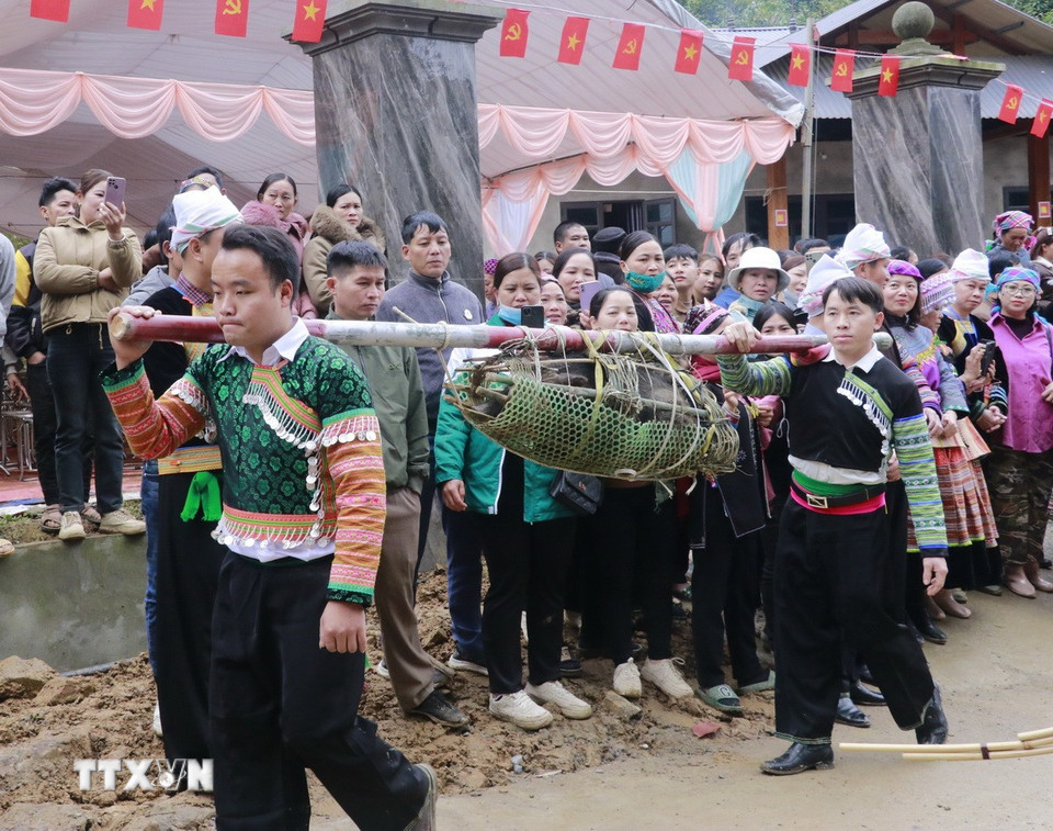 Nghi lễ rước lợn rừng lên khu rừng cấm. (Ảnh: Đinh Thùy/TTXVN)