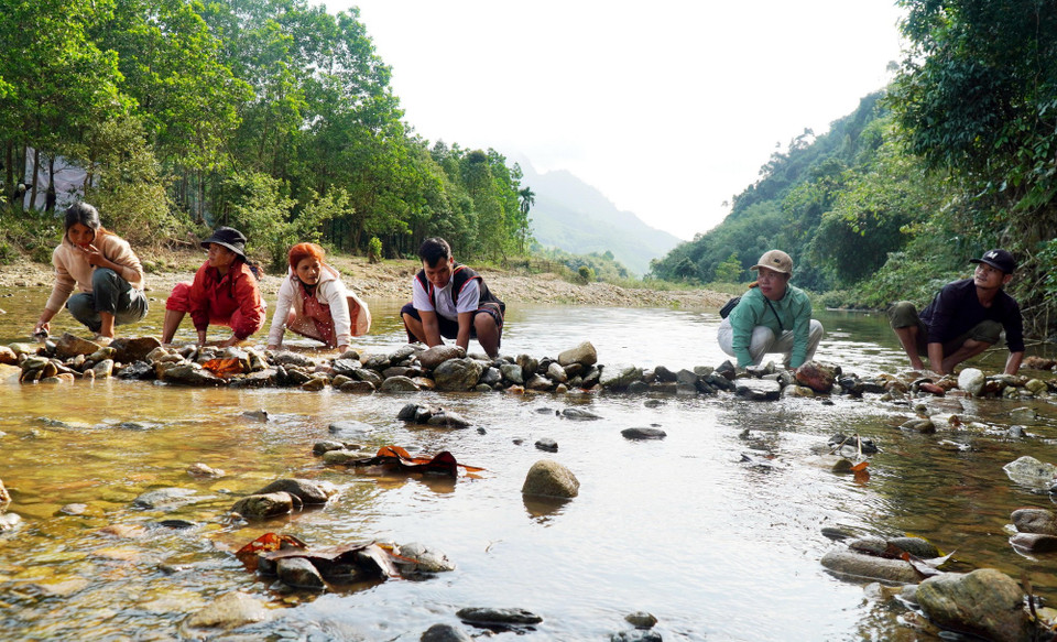 Người dân tập trung về khu vực sông Trường bê đá đắp đập ngăn dòng chảy để bắt cá. (Ảnh: Lê Phước Ngọc/TTXVN)