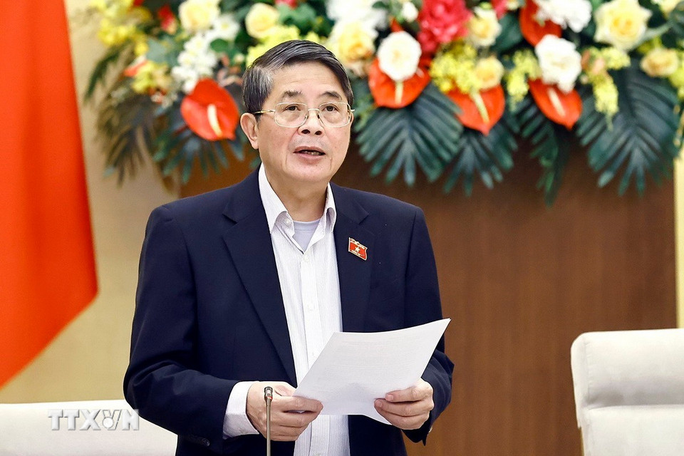 Phó Chủ tịch Quốc hội Nguyễn Đức Hải phát biểu. (Ảnh: Doãn Tấn/TTXVN)