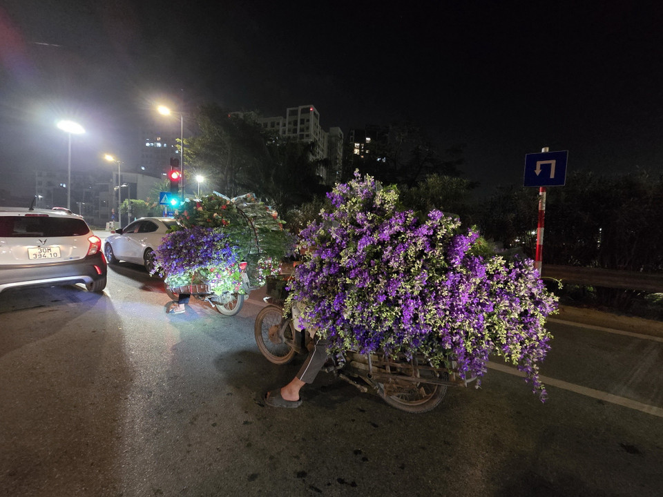 Những xe hoa hướng về chợ Quảng An phục vụ người dân trong dịp Tết. (Ảnh: Nguyễn Cúc/TTXVN)