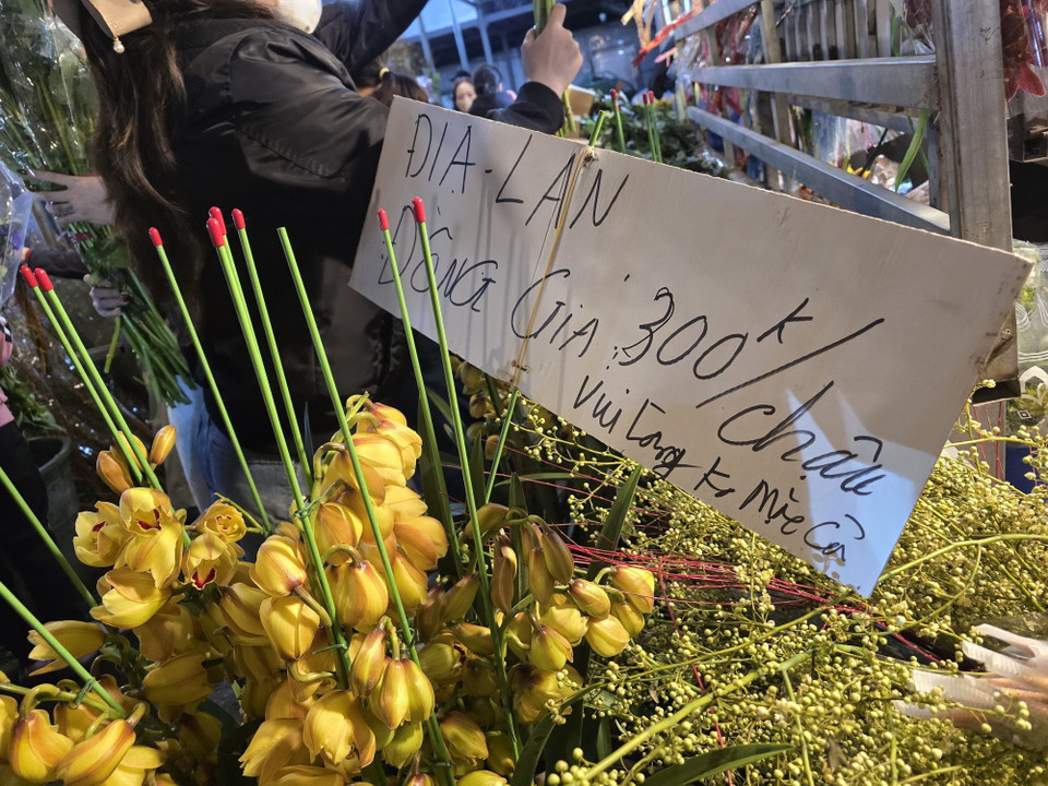 Ngày cuối cùng trước Giao thừa, giá hoa lan đã giảm. (Ảnh: Nguyễn Cúc/TTXVN)