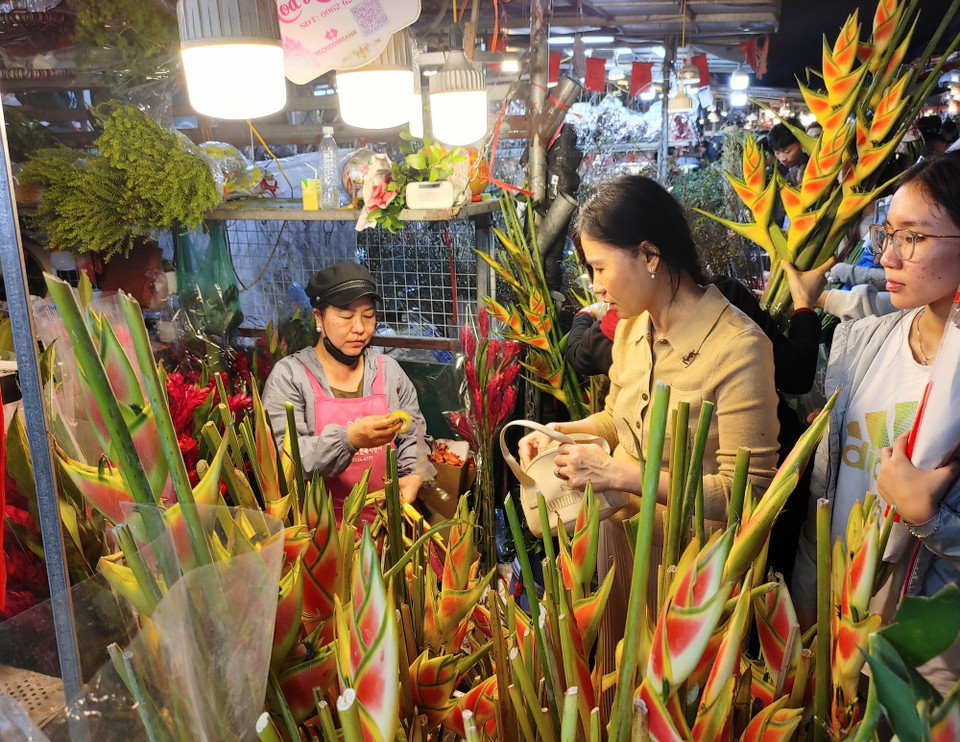 Những loại hoa lạ thu hút sự quan tâm của người dân Thủ đô. (Ảnh: Nguyễn Cúc/TTXVN)