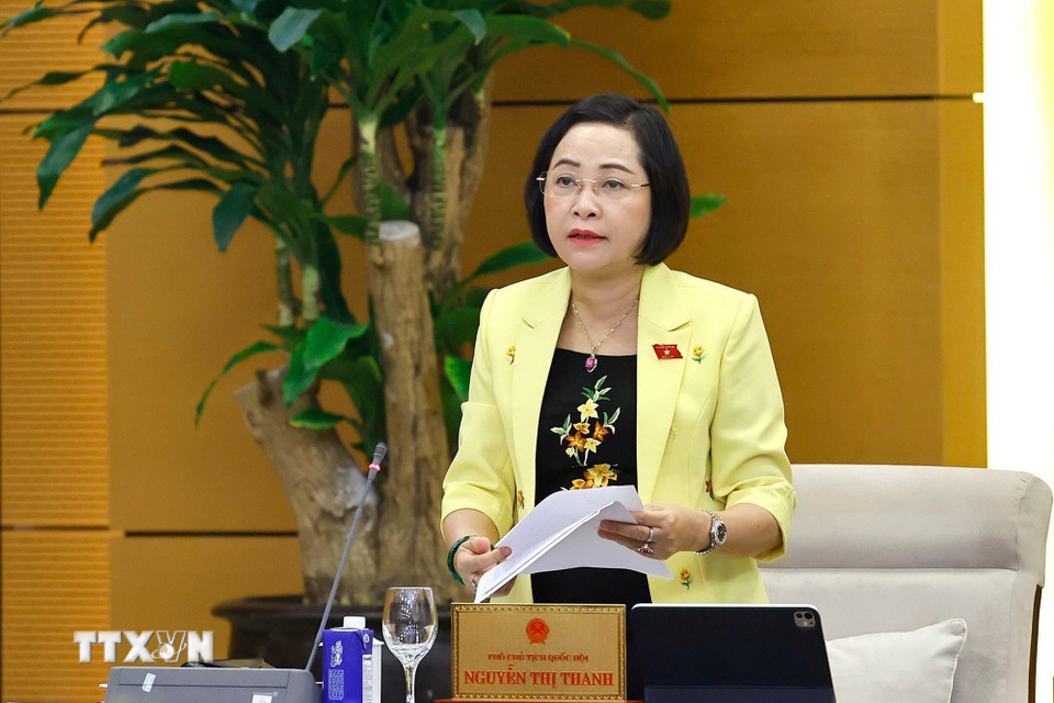 Phó Chủ tịch Quốc hội Nguyễn Thị Thanh phát biểu. (Ảnh: Doãn Tấn/TTXVN)